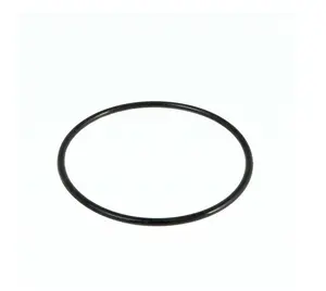 Náhradní těsnění pod víko předfiltru Bestway P6563